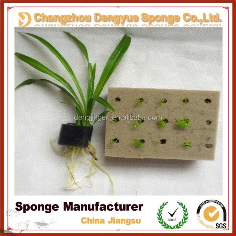 Thailand hydroponic vegetables moisture retain sowing seeds hydroponics sponge