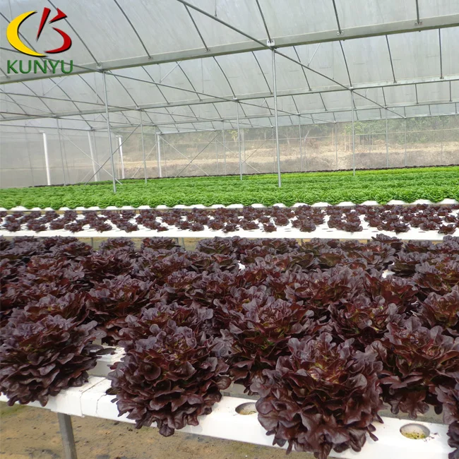 Hot sale open lid pvc channel hydroponic nft growing systems for vegetable