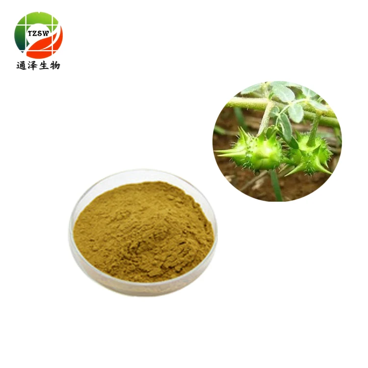 
Chinese herbal medicine Tribulus Terrestris Extract 90% Saponins Powder 
