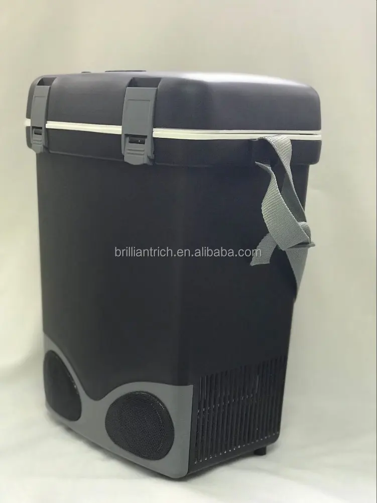 cooler and warmer box with wireless speaker