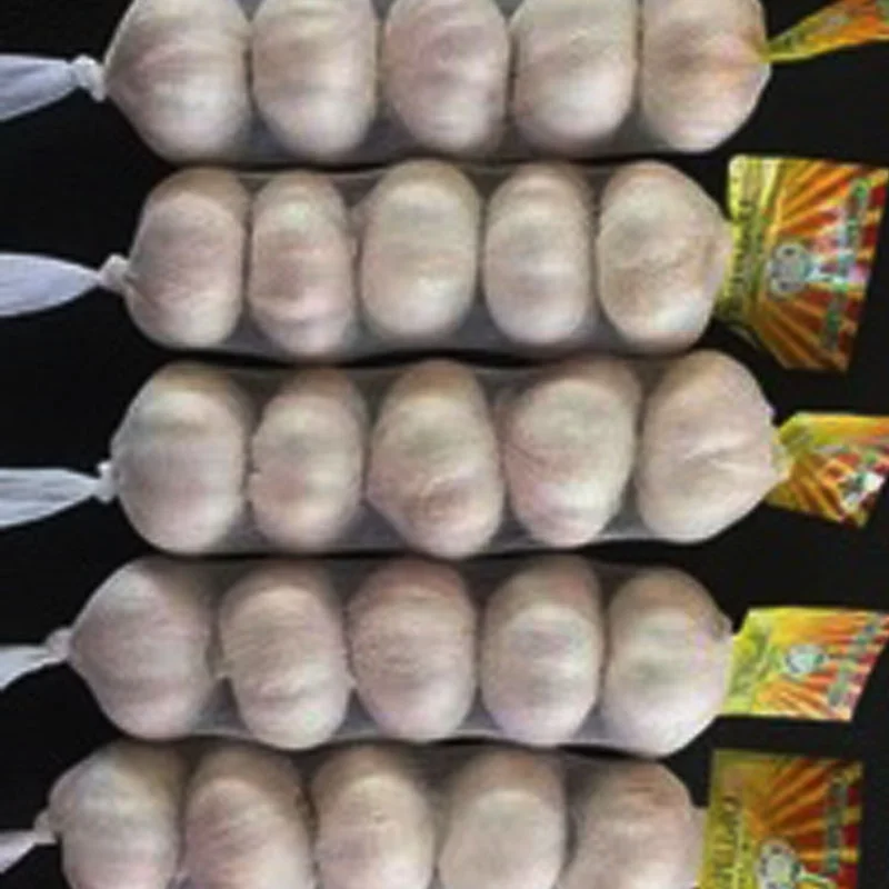 Alho Fresco for Brazil EU Africa from China garlic processing plant