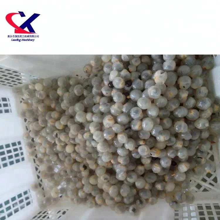 Offer Lychee fruit wine lychee juice 2000kg/h litchi processing plant