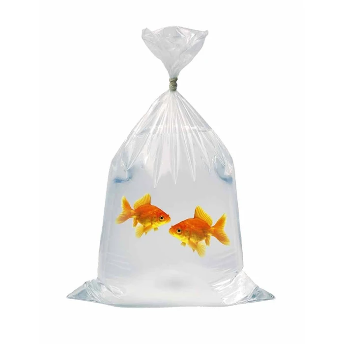 Hot Sale High Strength Water Tight Polythene Fish Transportation Bag