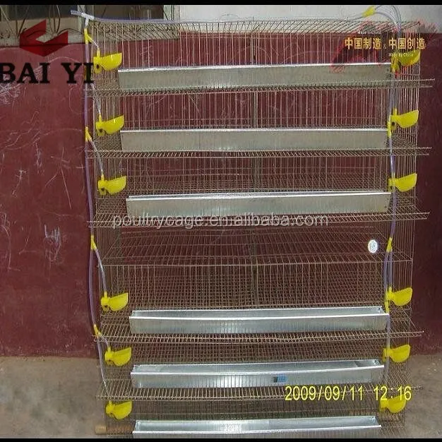 Автоматическая клетка для перепелов типа H для продажи на Alibaba Trede Assurance