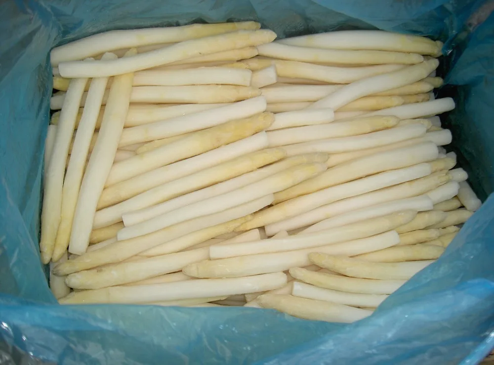 Frozen White Asparagus Organic IQF White Asparagus Cuts with good price