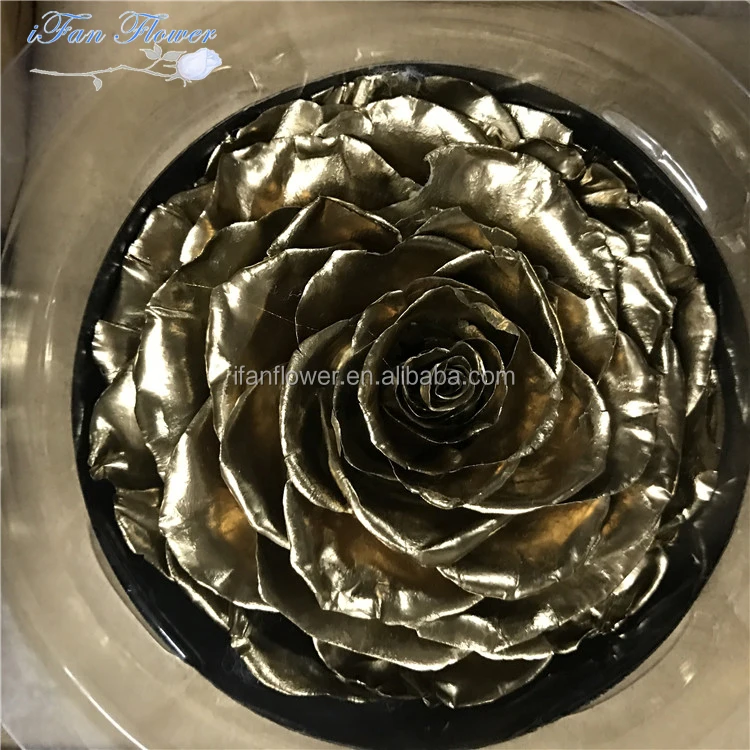 China gold manufacturer useful popularity items freeze dried real touch roses