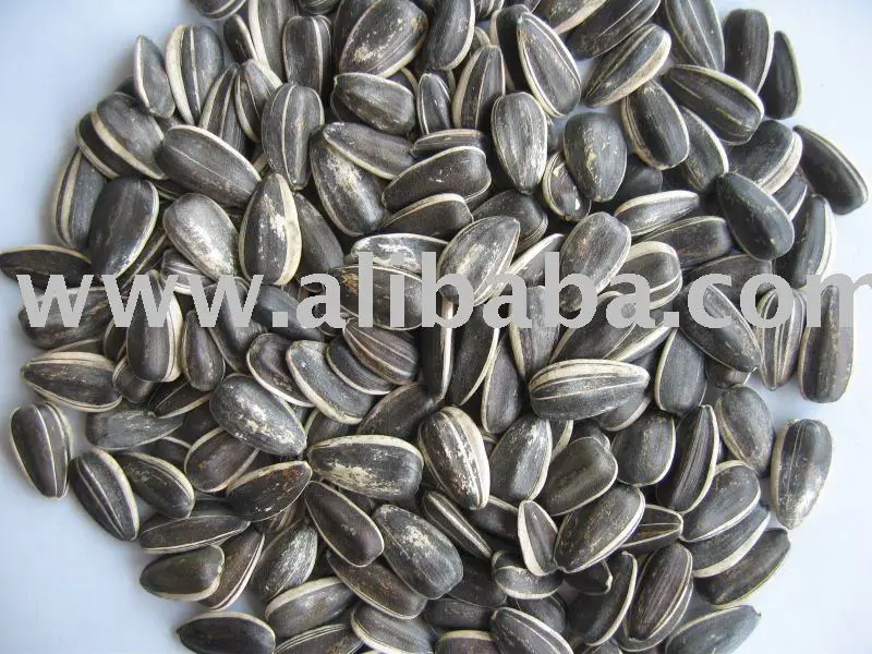 sunflower seeds--118type