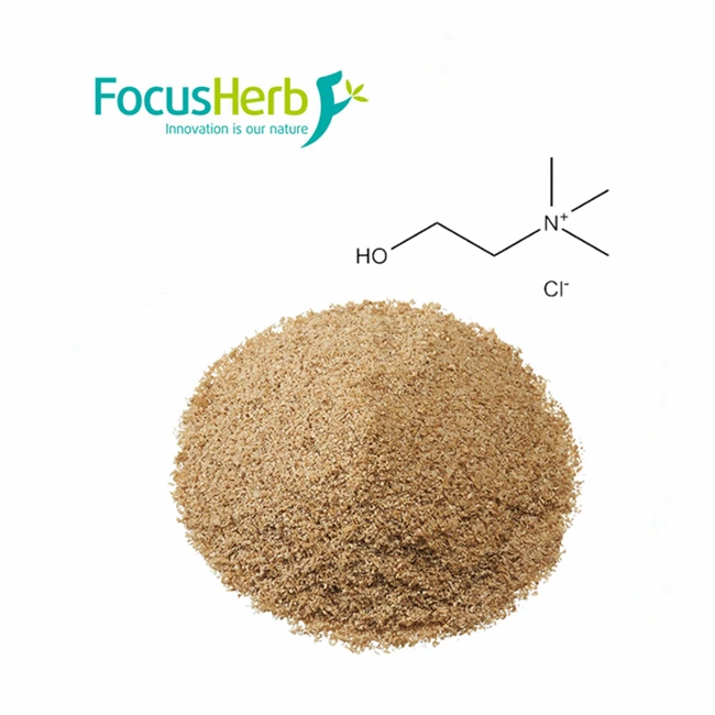 
FocusHerb Choline Chloride 99%  (60840305941)