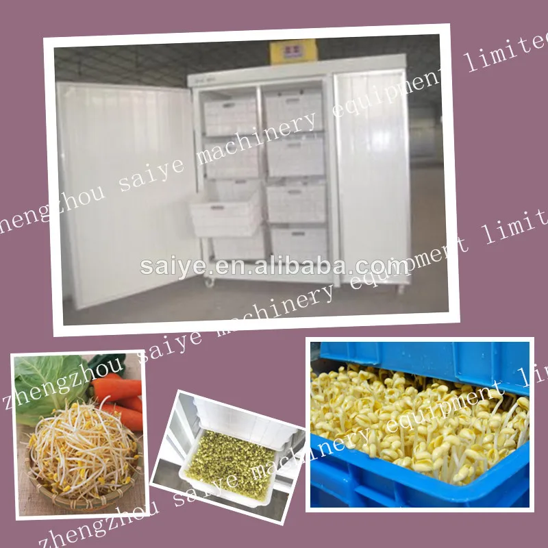 маш рассада машина 0086-13298176400