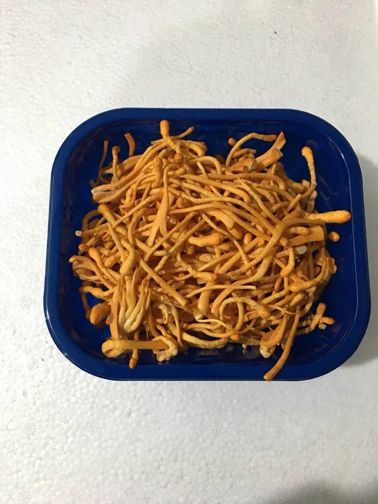 
Detan Cordyceps Militaris Fresh Mushroom 