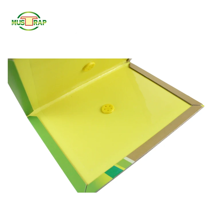 Hot Sale Easy Set Strong Viscous Paper Board Rat Rraps Cheap Mouse trap