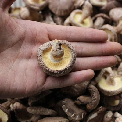 
Detan Dried Shitake Mushrooms price 