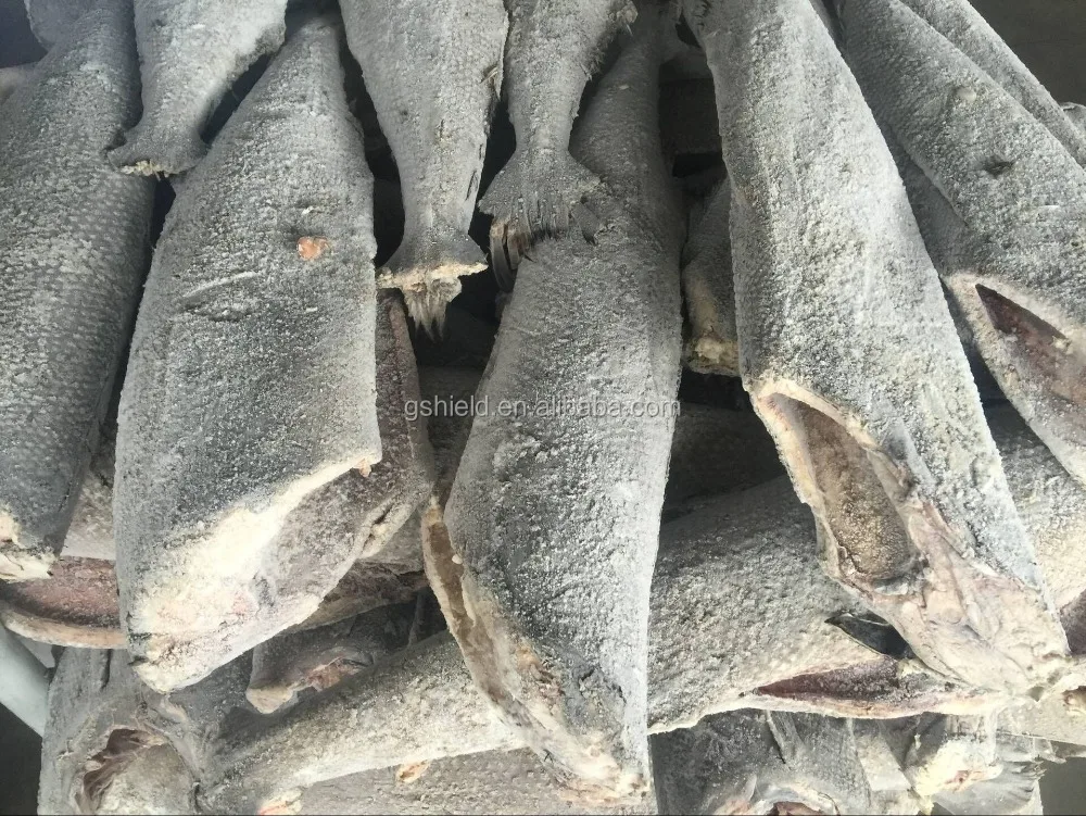 
Good quality Frozen HGT Hamachi in 2016 