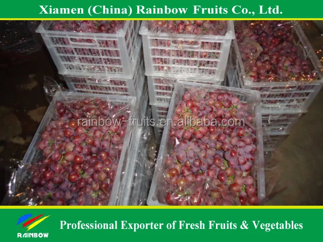 
fresh Red Sweet seeded grape fruit export from China 