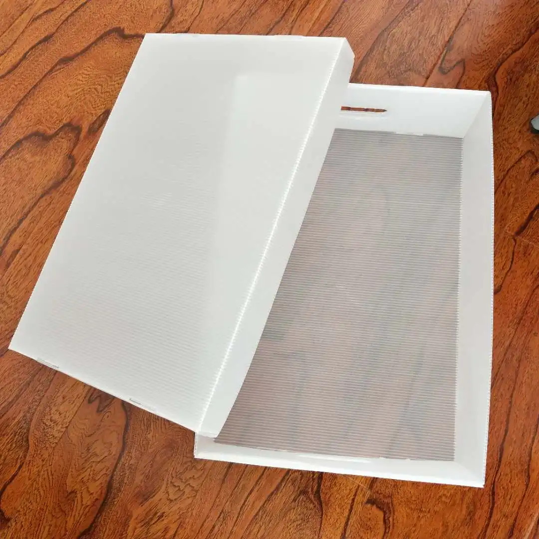 PP Corrugated Plastic Correx Clam Packaging bxes lobster Packaging Shipping Boxes For Seafood storage