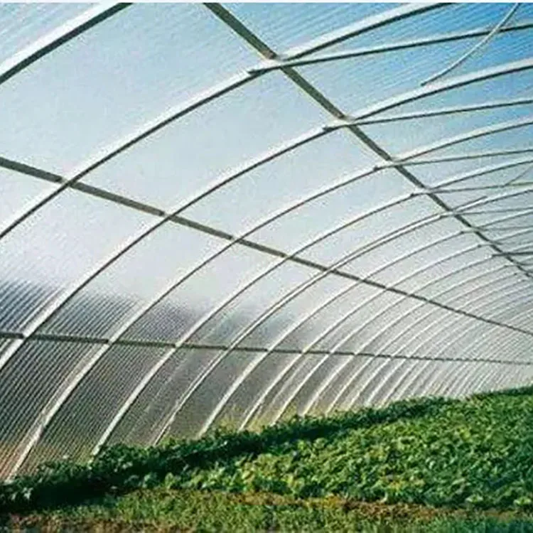 
Commercial used film cover passive chinese solar glass greenhouse 