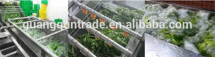 Most Favorable Fruit Vegetable Leaf Vegetable Processing Machine