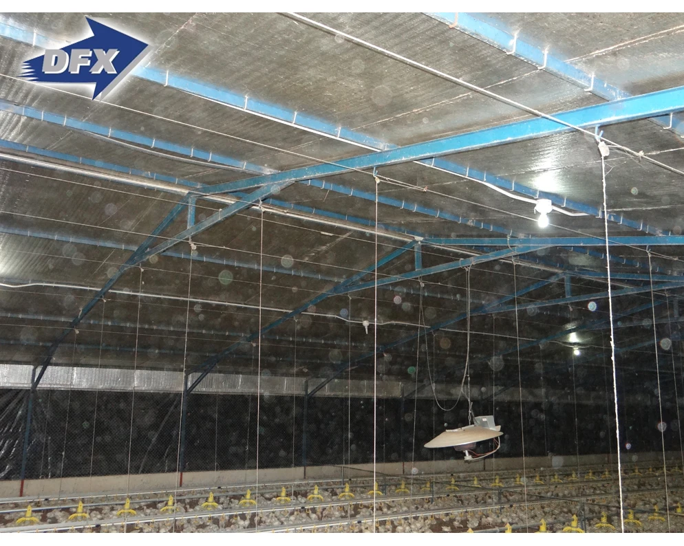 
Kenya Chicken Farm Hot Sale Poultry House Shed 