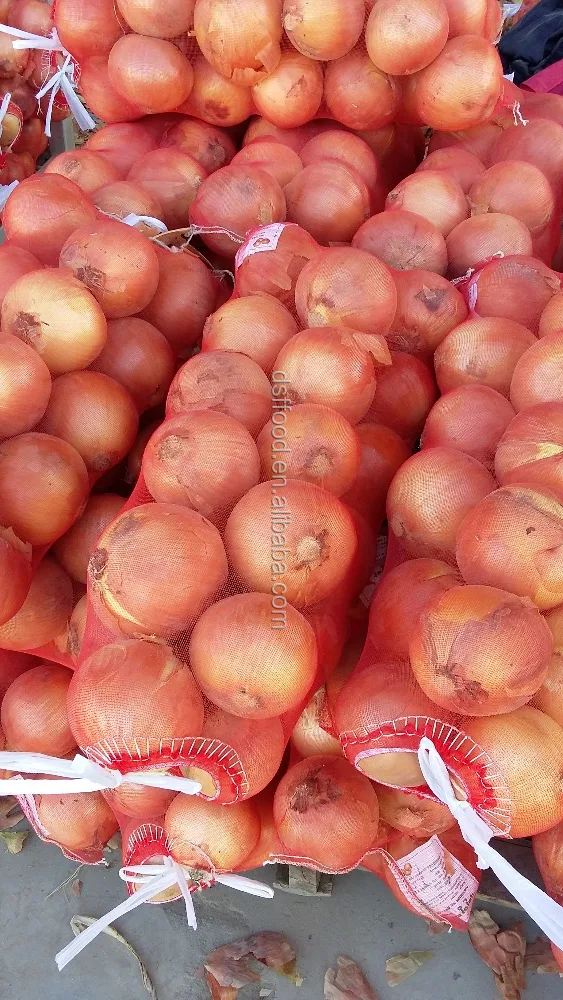 Chinese cheap good fresh onion for sale