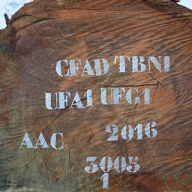 Ekki/Azobe/solideood/veneers/squarelogs/hardwood/timber