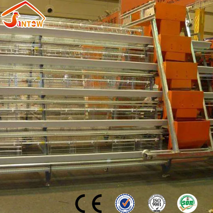 Senegal Battery Chicken House Designed Lowest Price Chicken Layer Cage For Sale( guangzhou Factory )