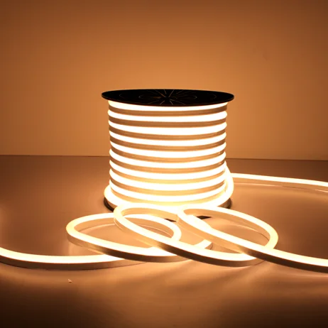 Custom decorative 12V transformer powered weatherproof soft flexible led neon tube light for desk