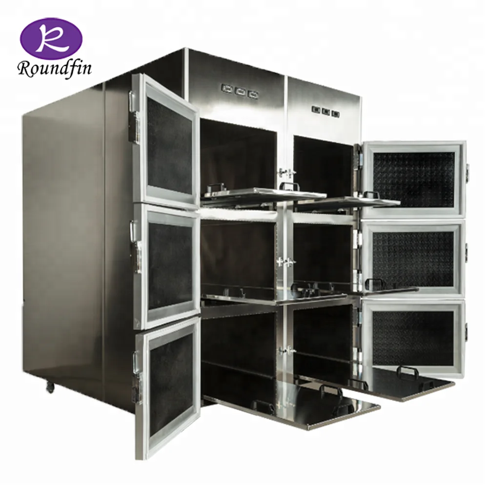 
CE approved funeral equipment body mortuary chamber mortuary freezer price 