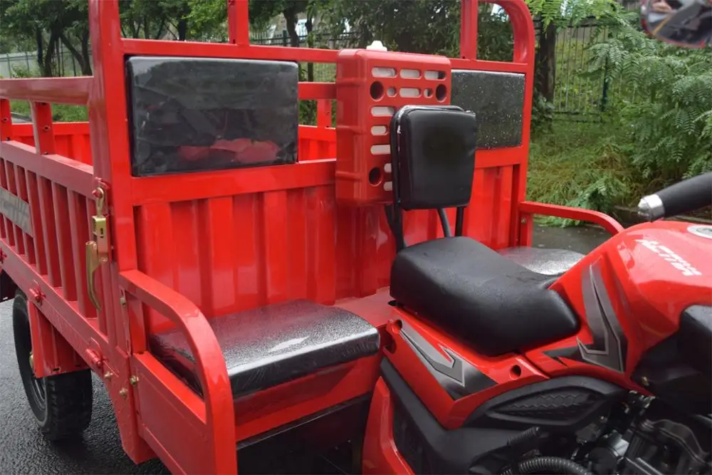 Pickup 200cc 250cc 300cc Gasolina Motocarro Mexico