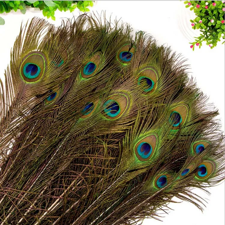 
Real Natural Wholesale Cheap Peacock Feather for sale 