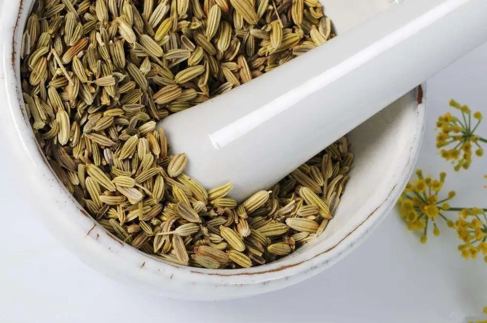 
Food Grade Pure NaturalCC fennel seeds 