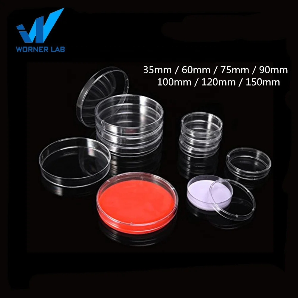 Laboratory Cheap Clear Plastic Funnel