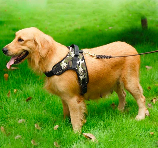 dogs harness and leash set USA Hot Trending Safety Reversibly tactical Dog Pet Harness Set for Safety Pet Vest Walking