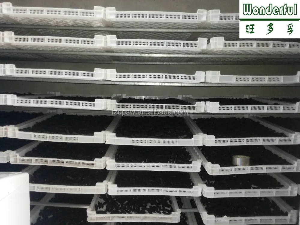 Высококачественный замороженный и сушеный морской огурец на продажу