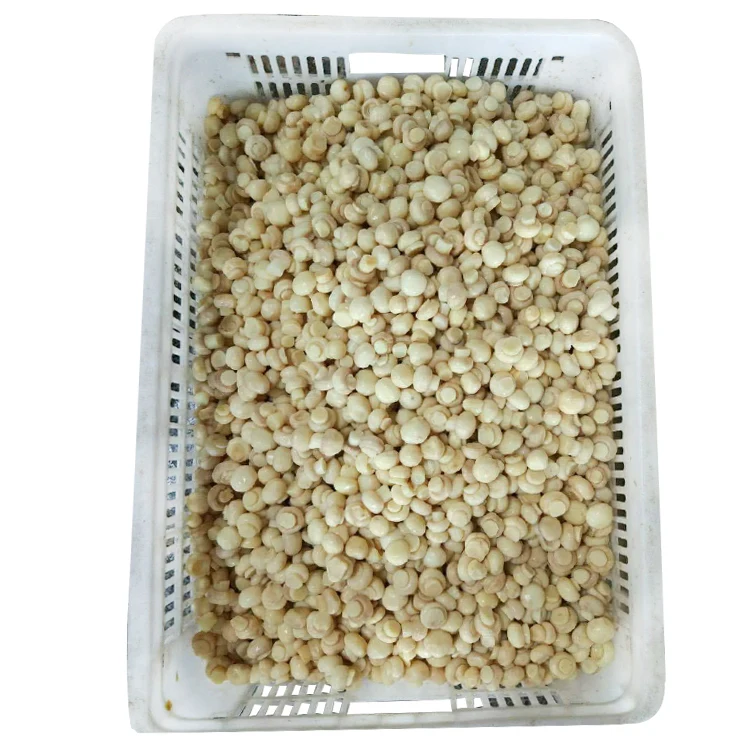 Свежий нарезной гриб в банке