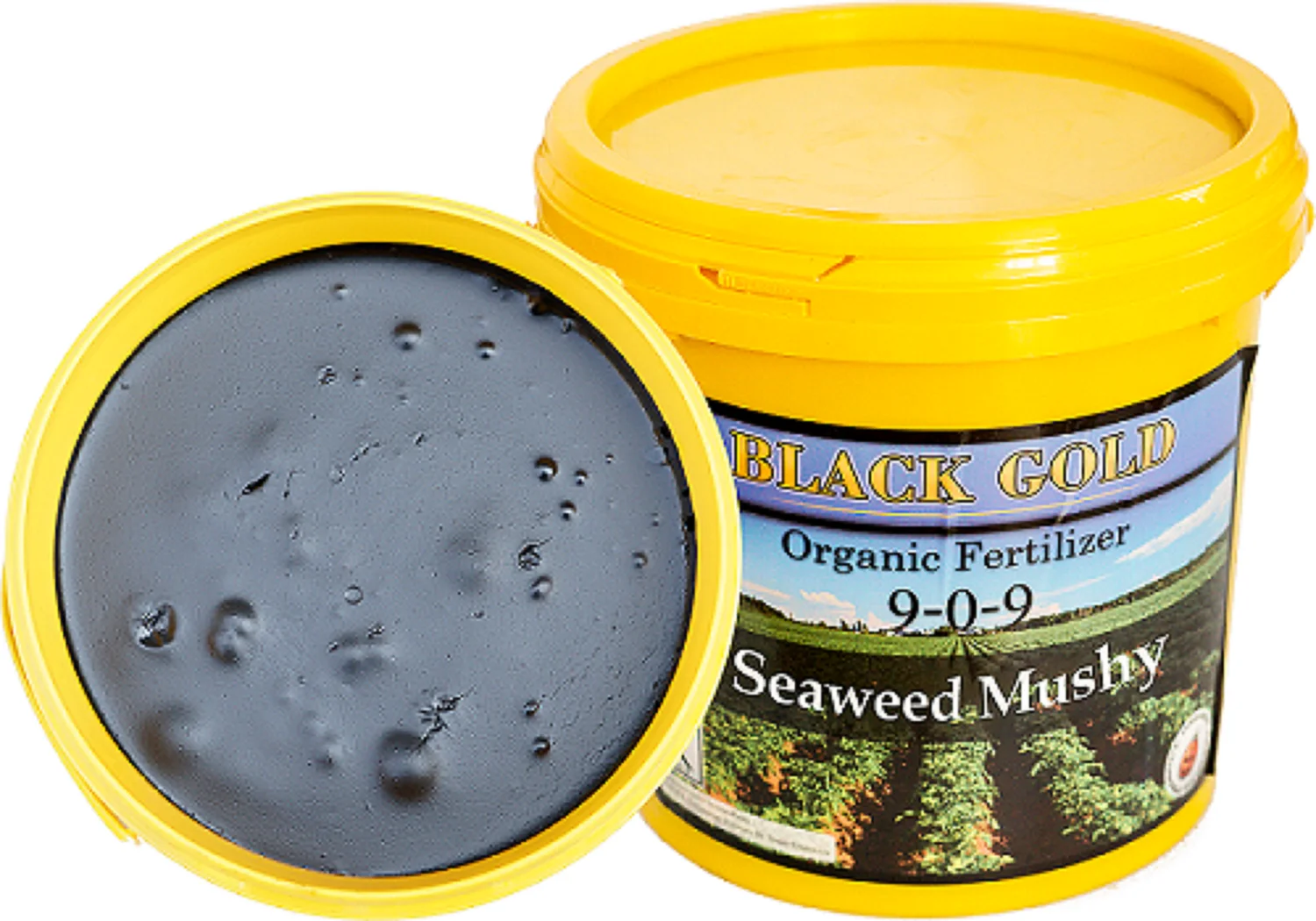 Quick release seaweed extract humic acid npk fertilizer
