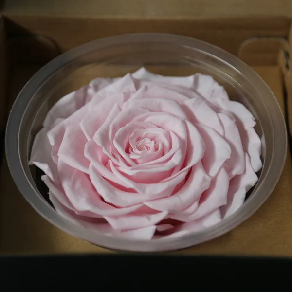 
Online Sale Preserved Flower Buds For Centerpieces From KIFA Center 