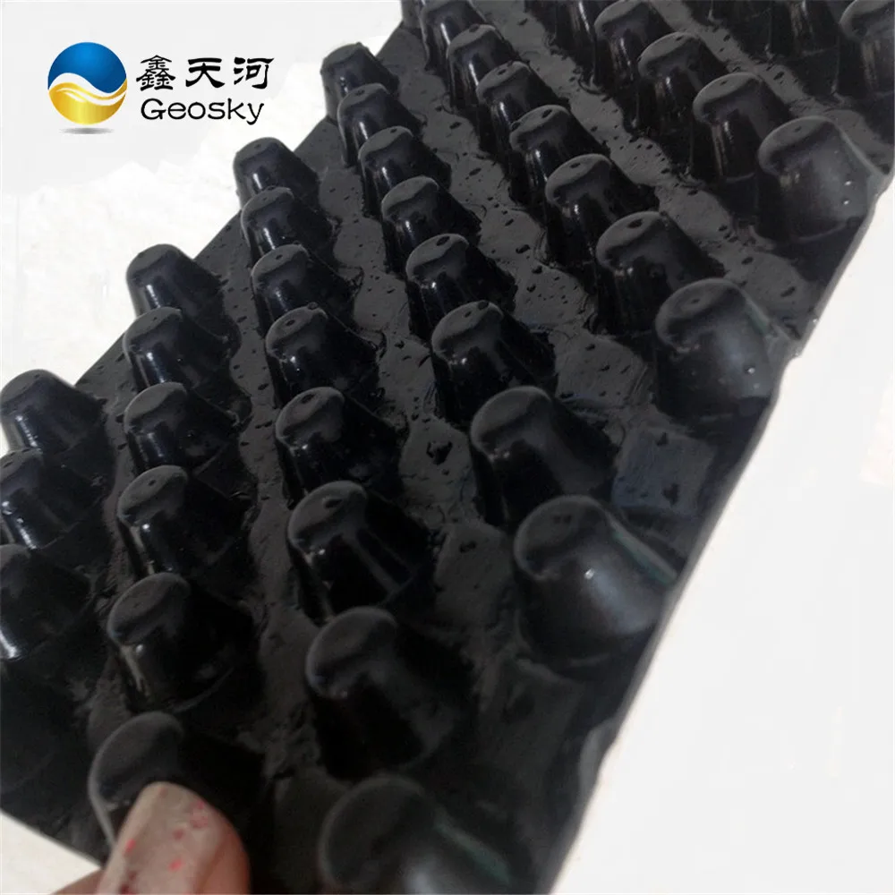 Plastic Dimpled Foundation Membrane/ Dimple Waterproof HDPE Drain Board
