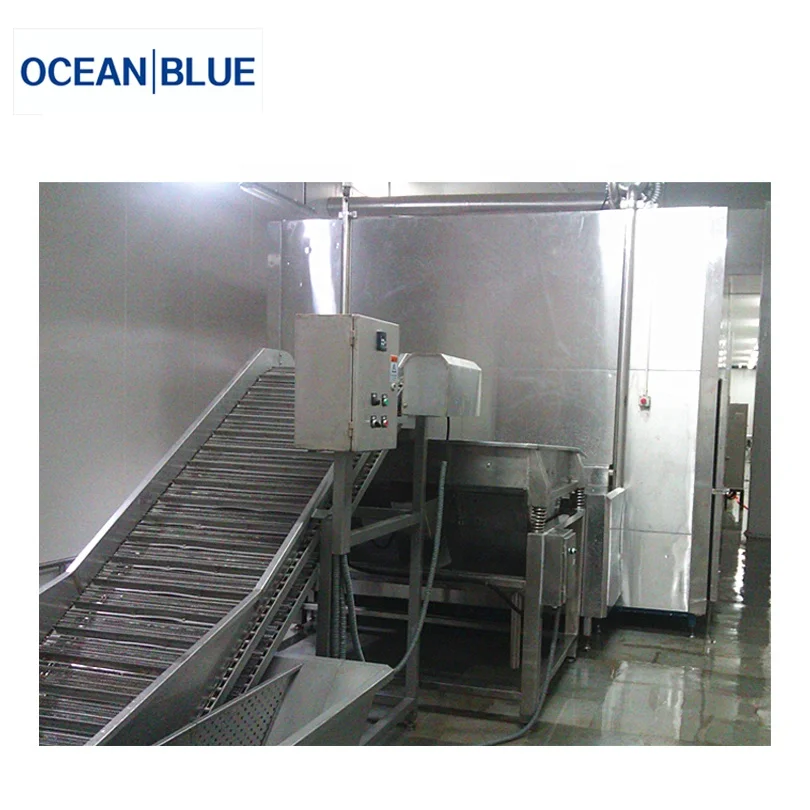 Vegetables and Fruits IQF Tunnel Blast Freezer