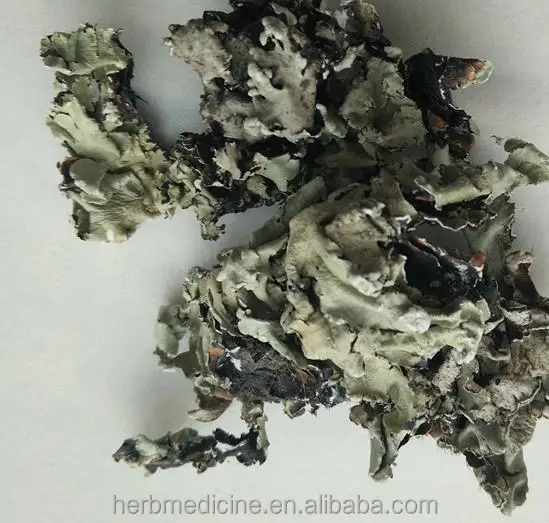 Сырье Ши Хуа, натуральное сухое цельное растение для здорового питания, Parmelia saxatilis