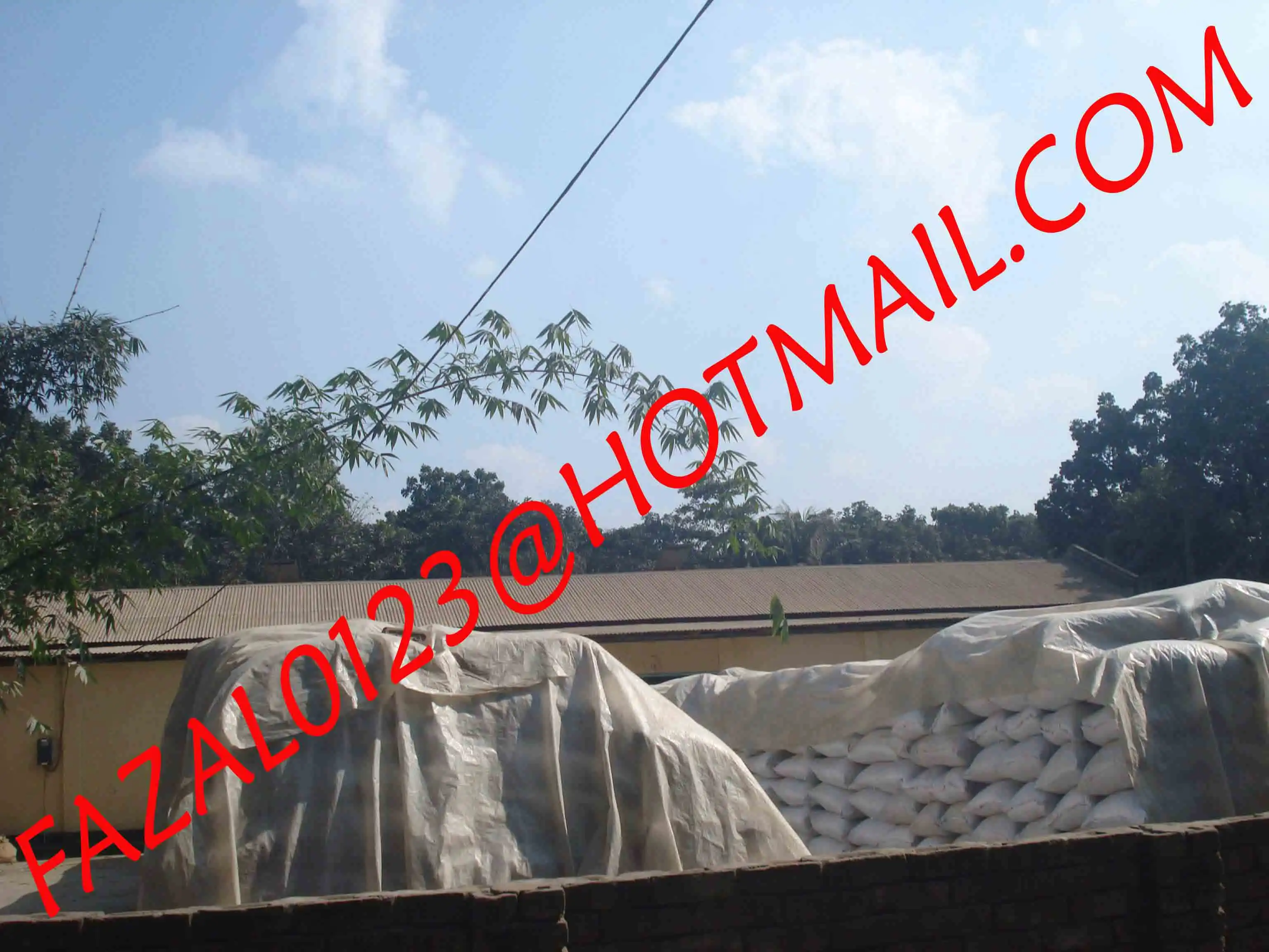 SESAME SEEDS BLACK RED BROWN WHITE FROM EXPORT TRADE ASSOCIATE