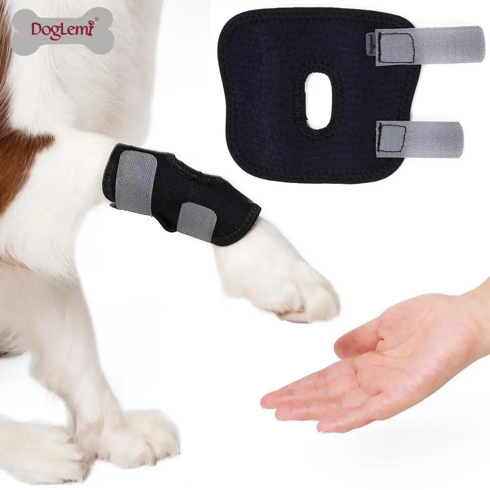 Soft Brim Protect Pet Wounds Dog Knee Brace
