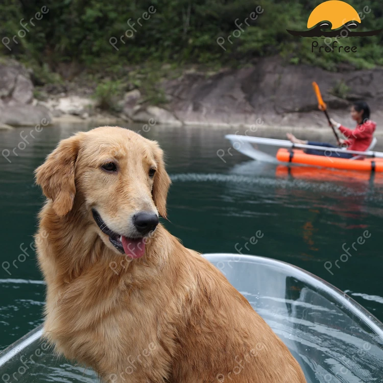 
PC Transparent Kayak/ Clear Plastic Boat/ Double Seats /newest /canoe with decent design 