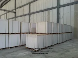 art paper C2S Gloss/Matt Art Printing Paper