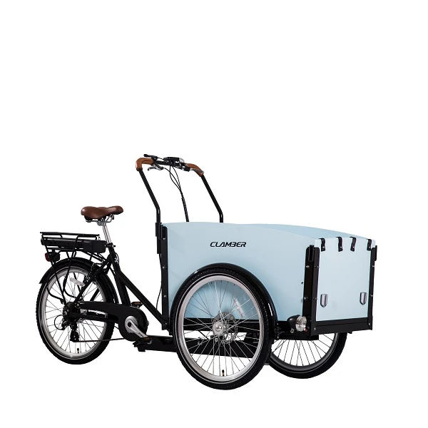 China factory 3 wheel cheap front box electric cargo family tricycle bike