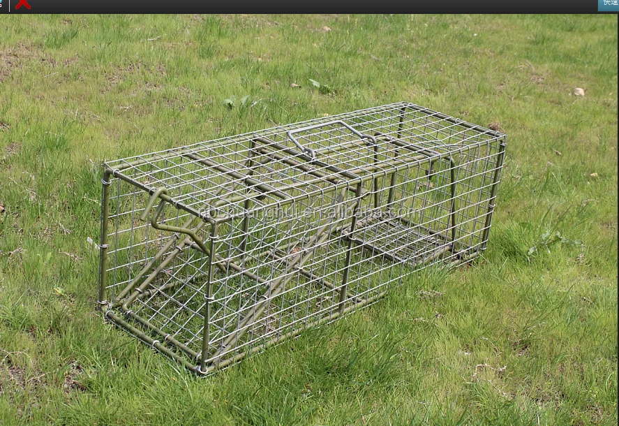 Professional Pest Control Factory Humane Large Live Animal Wild Animal Trap