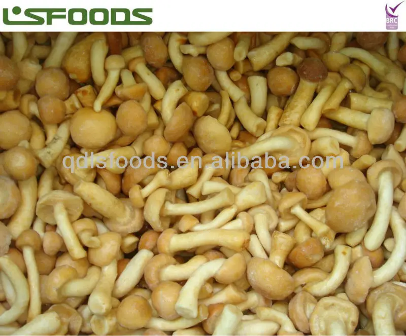 
Chinese best price Frozen IQF nakemo mushroom 