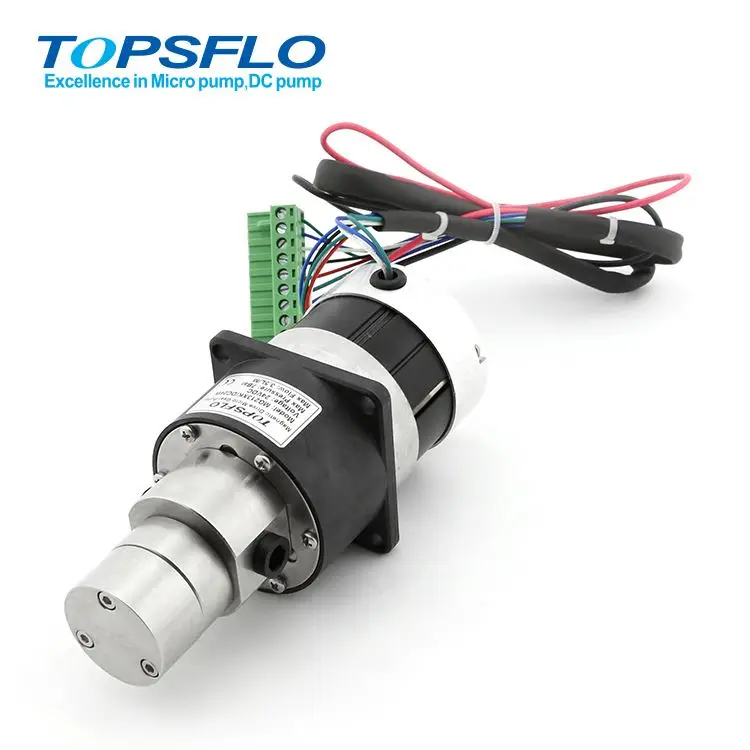 Внешний Шестеренчатый насос постоянного тока