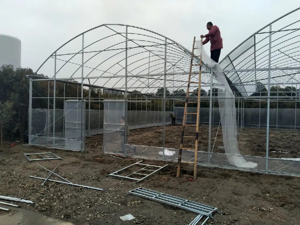 
low cost tomato greenhouse plastic film roll for agriculture 
