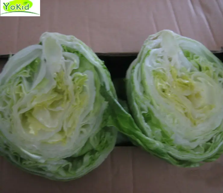 Good Product Green Fresh Brands Lettuce