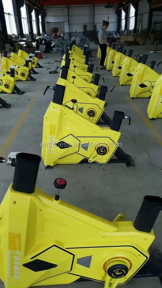 Indoor spinning bike commercial exercise spinning bike swing spin bike EM7300